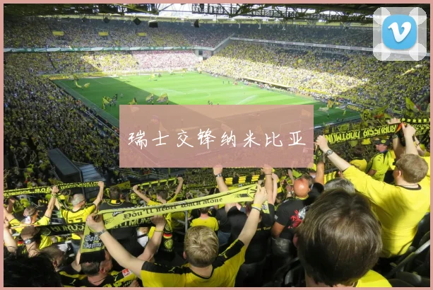 瑞士交锋纳米比亚