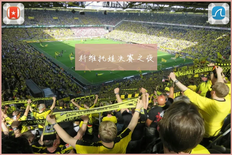 科维托娃决赛之夜