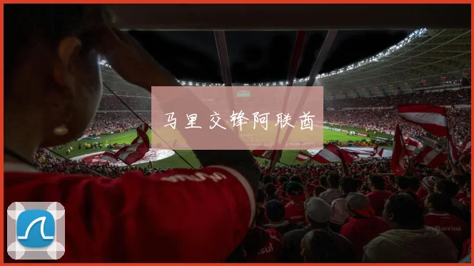 马里交锋阿联酋