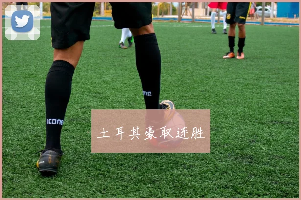 土耳其豪取连胜