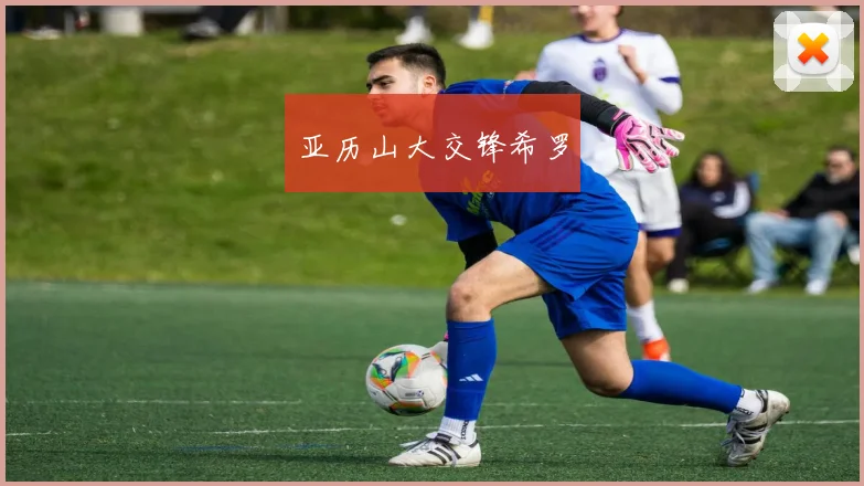 亚历山大交锋希罗