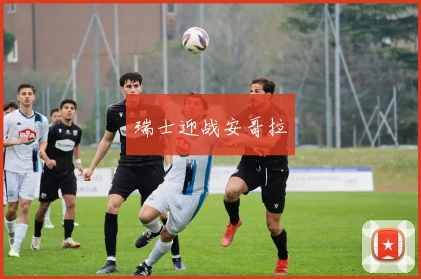 瑞士迎战安哥拉