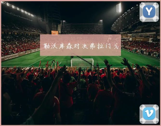 勒沃库森对决弗拉门戈