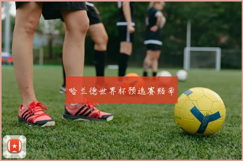 哈兰德世界杯预选赛赔率
