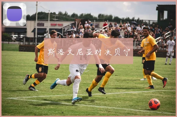 斯洛文尼亚对决贝宁