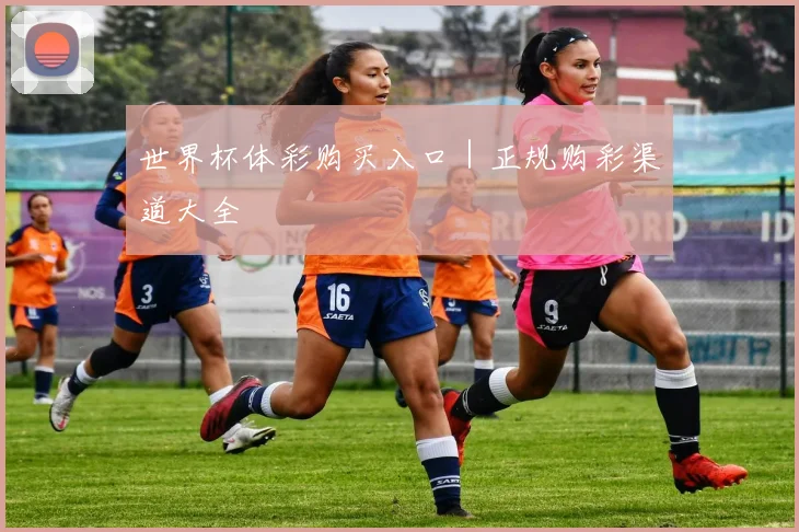 世界杯体彩购买入口｜正规购彩渠道大全