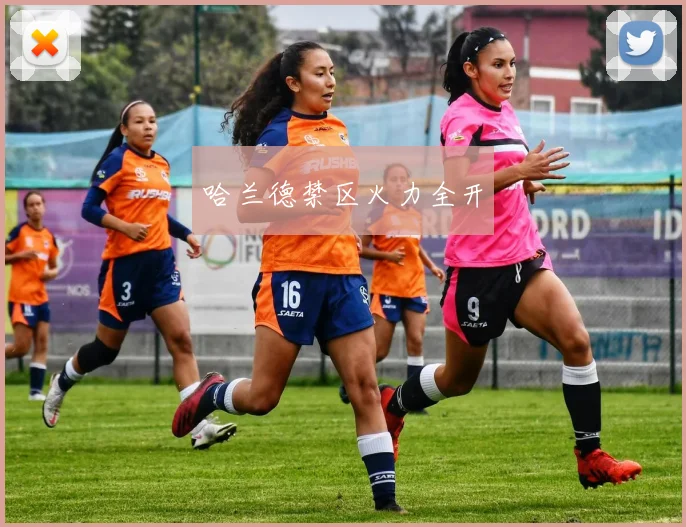 哈兰德禁区火力全开