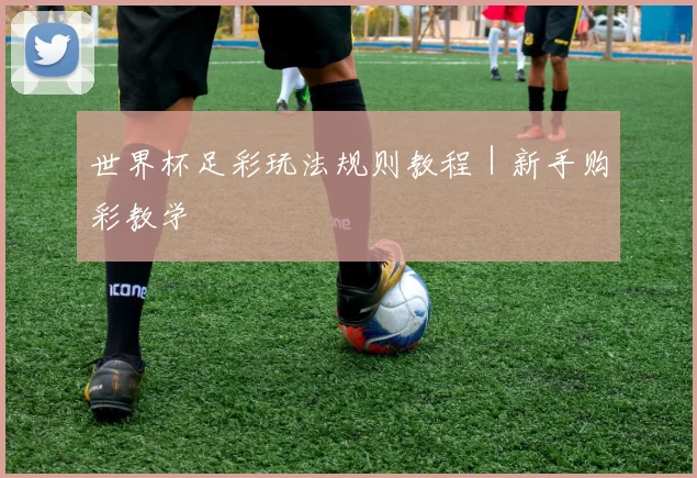 世界杯足彩玩法规则教程｜新手购彩教学