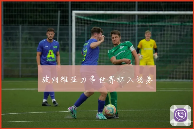 玻利维亚力争世界杯入场券