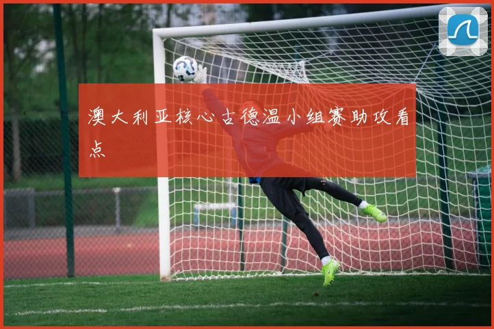 澳大利亚核心古德温小组赛助攻看点