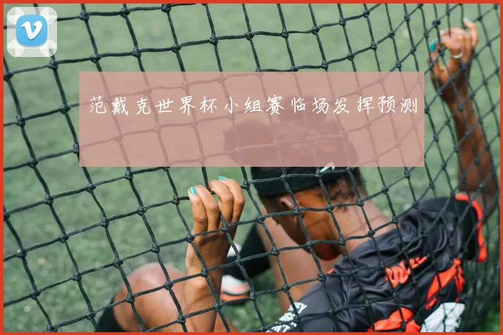范戴克世界杯小组赛临场发挥预测