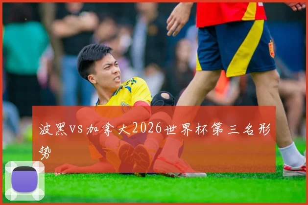 波黑vs加拿大2026世界杯第三名形势