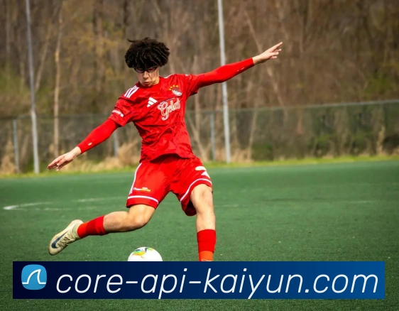 关于开云Kaiyun官网网页版入口