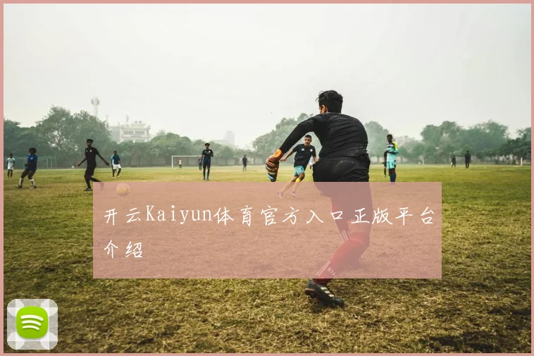 开云Kaiyun体育官方入口正版平台介绍