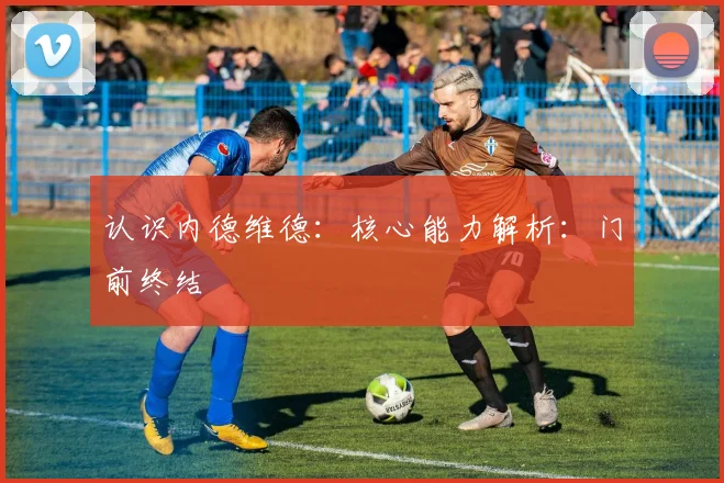 认识内德维德：核心能力解析：门前终结